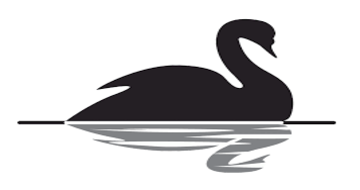 BLACK SWAN