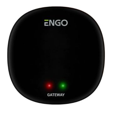 ENGO Зигби хъб Gateway EGATEZB