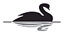 BLACK SWAN